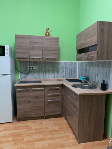 Virtuve vai virtuves zona naktsmītnē Heviz Gracia Apartment