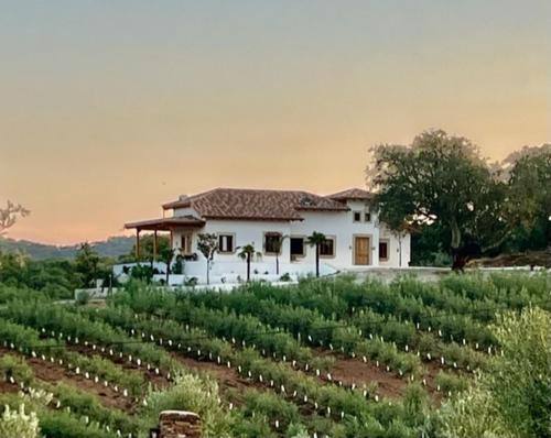 ein Haus mit einem Anbaufeld davor in der Unterkunft Finca Valdelaseras in Badajoz