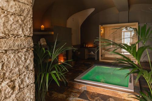 Villa Antica Colonia SPA & Wellness في بيتيناسكو: مسبح وسط غرفة بالنباتات