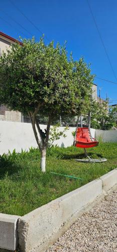 Garden sa labas ng Troi beach house