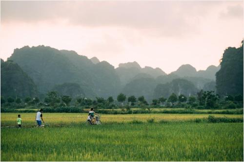 a group of people walking in a field with a bike at Tam Coc Windy Fields in Ninh Binh