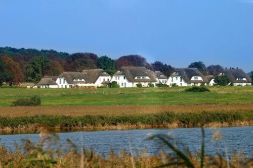 un grupo de casas en un campo junto a un cuerpo de agua en Landhotel Kastanienallee Putbus, en Putbus