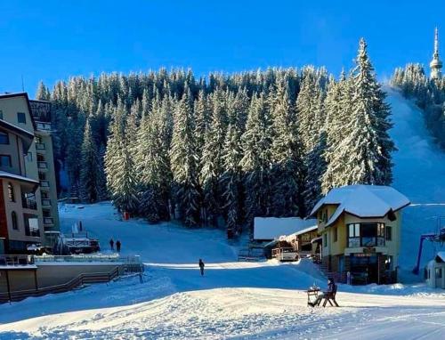 un groupe de personnes skier sur une piste enneigée dans l'établissement STENATA Sport Apartments, à Pamporovo