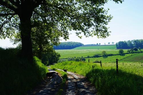 Un paisaje natural cerca de la pensión