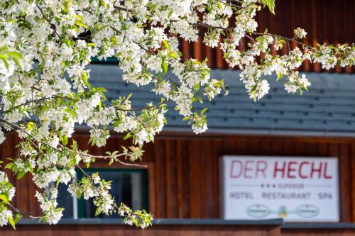 Un signo de salud se ve a través de un árbol floreciente en Der Hechl, en Tauplitz