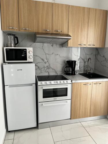 una cucina con elettrodomestici bianchi e armadietti in legno di Apartma Šmit (1) a Vir (Puntadura)