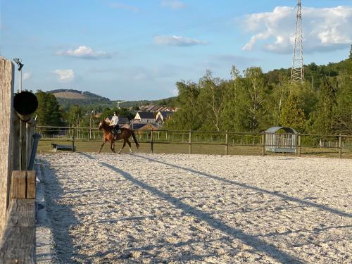 デュルビュイにあるRefuge des 4 Asの馬に乗る者