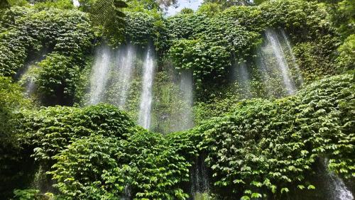 a group of waterfalls in a forest with plants at Hide and Seek in Tetebatu