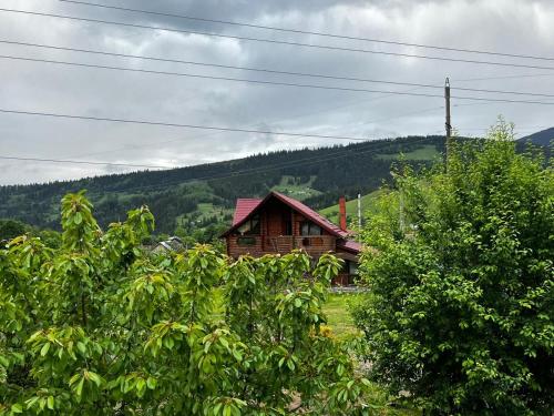 una casa in legno in mezzo a una foresta di Садиба Карпат a Verkhovyna