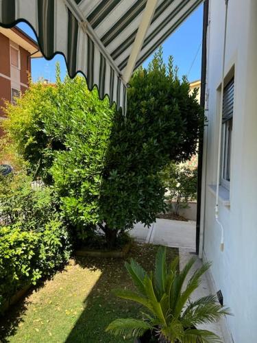 une vue sur l'extérieur d'une maison avec des arbres et des buissons dans l'établissement Dalla Simo, à Bussolengo