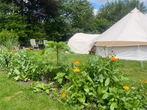 สวนหย่อมนอก Cozy Garden Glamping