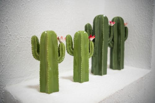 a group of cactuses sitting on a shelf at hotel rural GA7COLORES only adult in Montaña Blanca