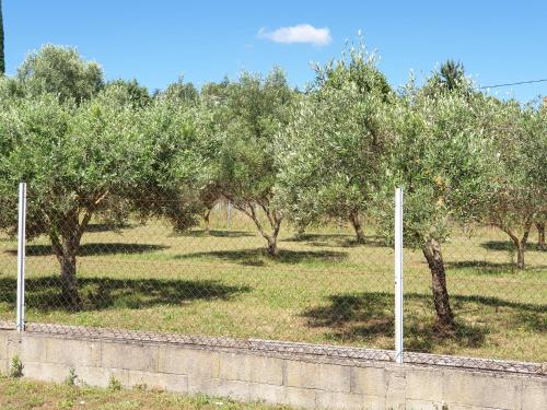 Puutarhaa majoituspaikan Gîte et piscine l'écrin aux oliviers en Cévennes ulkopuolella