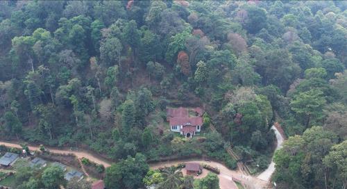 Vue aérienne d'une maison au milieu d'une forêt dans l'établissement Three Hills Resort Coorg, à Madikeri