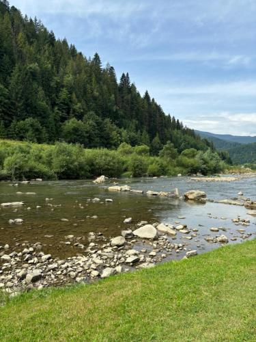 un río con rocas y árboles en el fondo en River House, en Yaremche