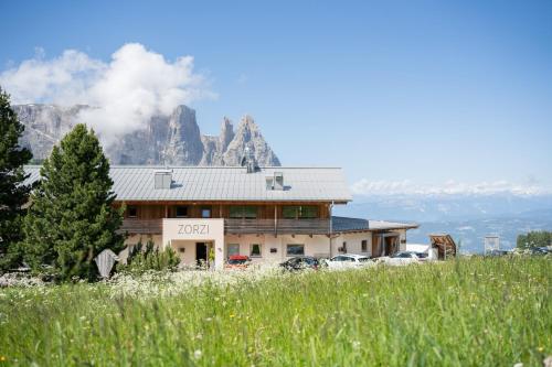 una casa en una colina con una montaña en el fondo en Berghotel Zorzi, en Alpe di Siusi