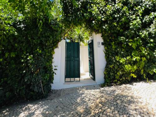 Un arco con una puerta con una planta. en CICAS VILLA, en Albufeira