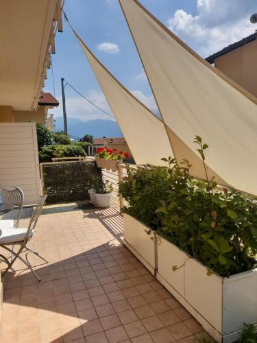 a patio with a table and chairs and plants at Casa Lisa in Lenno