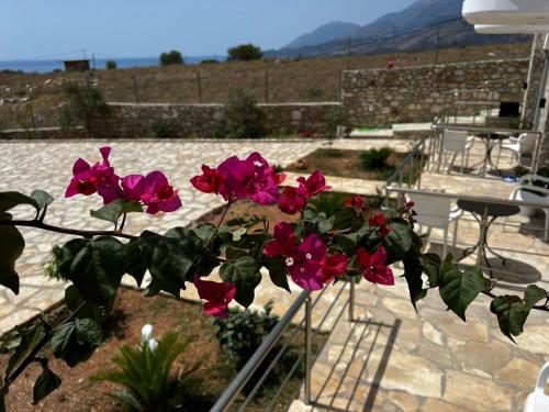 eine Gruppe rosa Blumen in einem Garten in der Unterkunft Noah's Home in Himarë