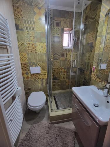 a bathroom with a shower and a toilet and a sink at Tudor Apartament in Ocna-Mureşului