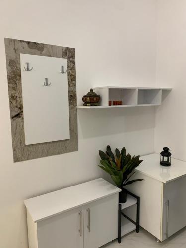 Habitación con 2 armarios blancos y una maceta. en E&M Apartman, en Struga