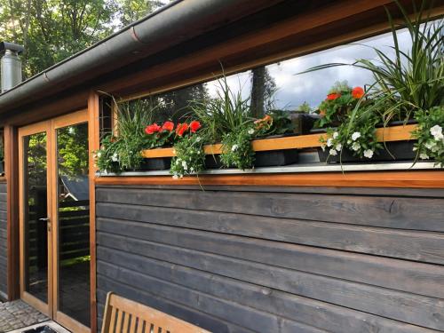 ein Haus mit einem Fenster mit Blumen darauf in der Unterkunft Small resort Pini & SPA in Jūrmala