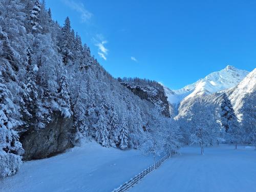 a snow covered forest with trees and snow covered mountains at Birkenheim Widmann in Längenfeld