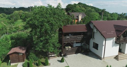 Vue de tête d'un bâtiment avec un arbre dans l'établissement Casa City View, à Sibiu