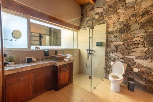 a stone bathroom with a toilet and a shower at Vistas Tapalpa in Tapalpa