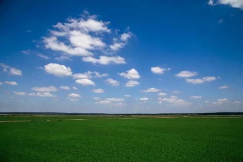 ein grünes Feld mit blauem Himmel und Wolken in der Unterkunft Herdade de Montalvo - Comporta in Comporta