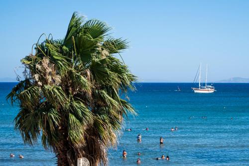 Φυσικό τοπίο κοντά σε αυτό το διαμέρισμα