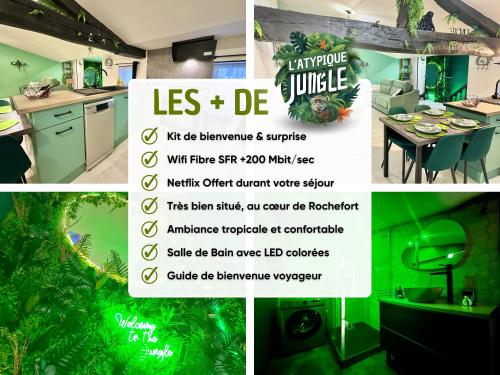 Kitchen o kitchenette sa l'Atypique Jungle - Hyper Centre - Refait à neuf