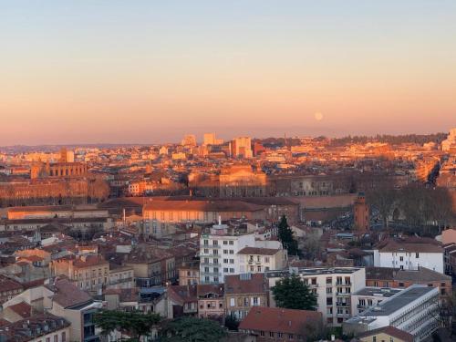 Daireden çekilmiş Toulouse şehrinin genel bir manzarası veya şehir manzarası