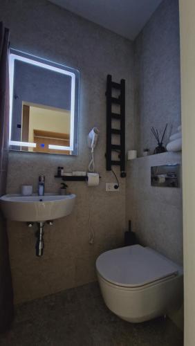 bagno con lavandino, servizi igienici e specchio di Hotel - cafe Naujoji Akmenė a Naujoji Akmenė