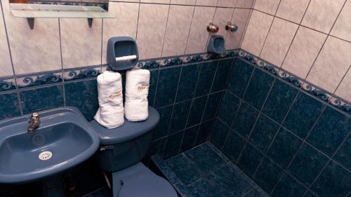 a bathroom with a toilet and a sink at Rama Inn Hostal in Puno