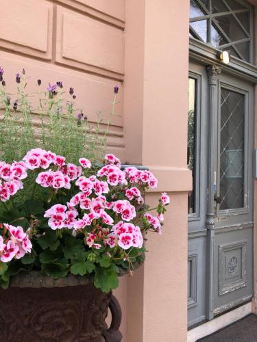 un pot de fleurs roses devant une porte dans l'établissement Hotel Villa Hentzel, à Weimar