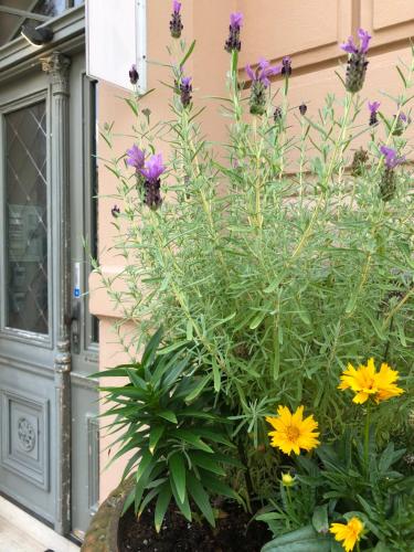 un pot de fleurs devant un bâtiment dans l'établissement Hotel Villa Hentzel, à Weimar