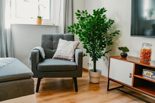 een woonkamer met een stoel en een plant bij Modernes Apartment mit Balkon und Stellplatz in Königstein an der Elbe