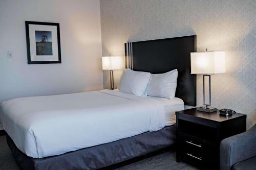 - un grand lit dans une chambre d'hôtel avec 2 lampes dans l'établissement Park Inn by Radisson Edmonton Airport, à Leduc