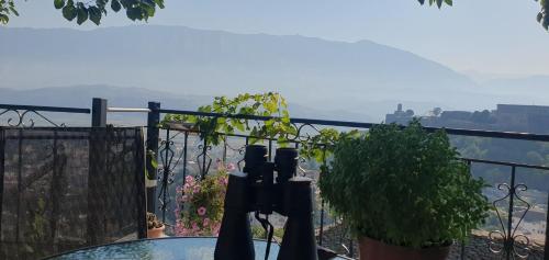 een glazen tafel met een potplant op een balkon bij Panoramic Vlachos in Gjirokastër