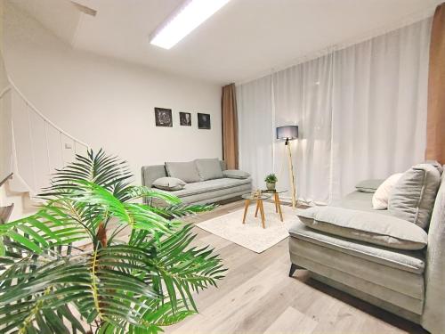 uma sala de estar com dois sofás e uma planta em Design-Apartmenthaus für bis zu 12, modern, Dachterrasse, Grill, ruhige Lage, Disney plus, Wii, LAN und WLAN em Nuremberga