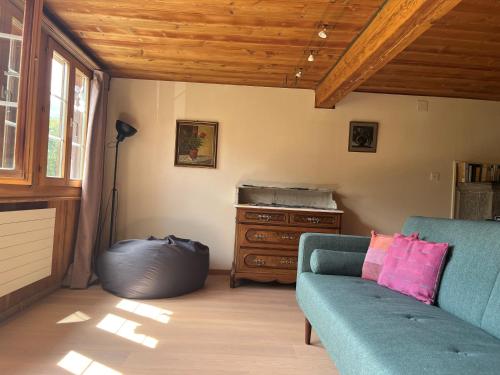 salon z kanapą i drewnianym sufitem w obiekcie Chalet ALPEN LOTUS w mieście Innertkirchen