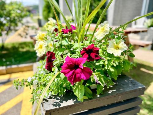 un vaso di fiori seduto sopra un tavolo di Motel de l'Anse a l'Eau a Tadoussac