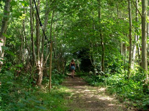 Huéspedes de Ecolodges De Dreef