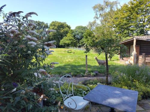 un jardin avec un banc et un poulet dans un champ dans l'établissement Logeren bij De Soerensesteeg, à Uddel