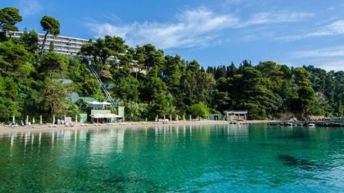 une masse d'eau avec une plage et des arbres dans l'établissement Corfu Holiday Palace, à Corfou