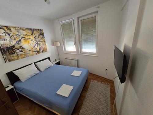 una piccola camera con letto blu e TV di Apartman Veselinovic Free PARKING a Vranje