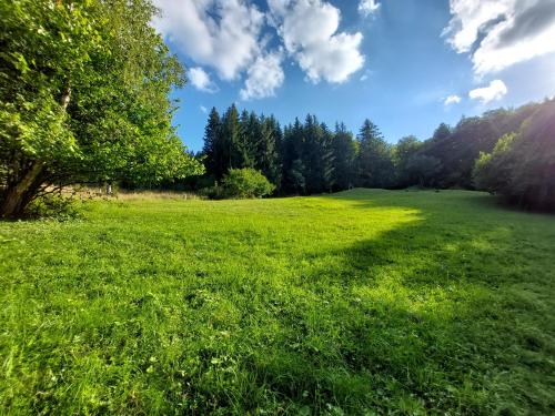 Tree house with private meadow in the middle of the forest