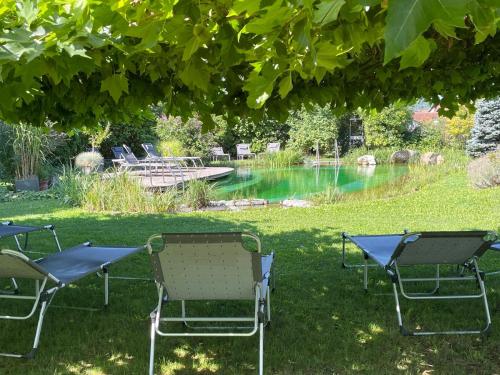 Сад в Weinresidenz Sonnleitner - ADULTS ONLY