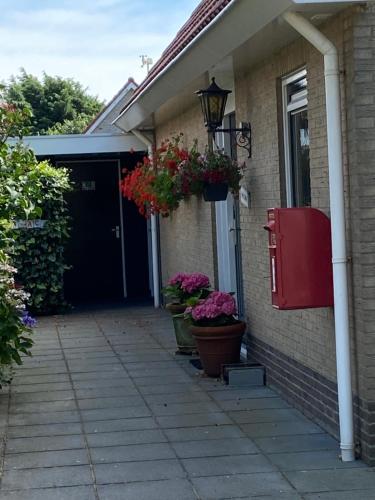 a house with potted plants on the side of it at Rose Cottage B&B in Nes